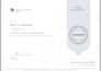 write sql queries, design databases, and optimize mysql performance